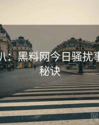 独家深扒：黑料网今日骚扰事件爆火秘诀