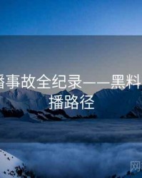 即时直播事故全纪录——黑料网app传播路径