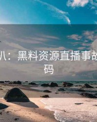 独家深扒：黑料资源直播事故流量密码