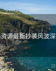 黑料资源最新抄袭风波深解析