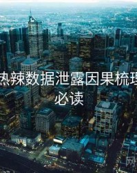 91官网热辣数据泄露因果梳理，避坑必读