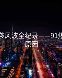 最新抄袭风波全纪录——91爆料背后原因