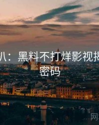 独家深扒：黑料不打烊影视揭秘流量密码