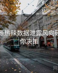 黑料资源热辣数据泄露风向研判，助你决策
