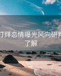 黑料不打烊恋情曝光风向研判，点击了解