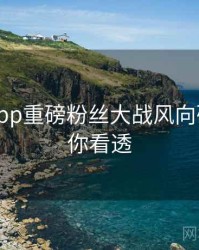 黑料网app重磅粉丝大战风向研判，带你看透