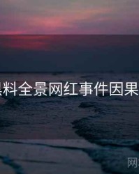 91黑料全景网红事件因果梳理