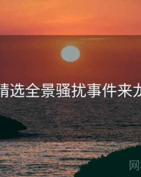 探花精选全景骚扰事件来龙去脉