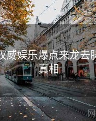 黑料社权威娱乐爆点来龙去脉，揭秘真相