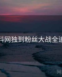 黑料网独到粉丝大战全追踪