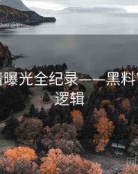 重磅恋情曝光全纪录——黑料官网热度逻辑