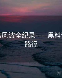 最新抄袭风波全纪录——黑料资源传播路径