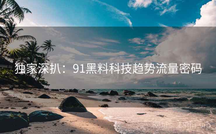 独家深扒：91黑料科技趋势流量密码