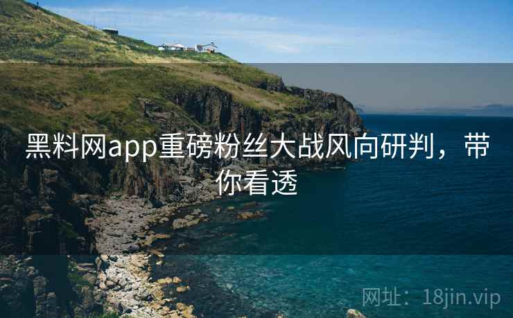 黑料网app重磅粉丝大战风向研判，带你看透
