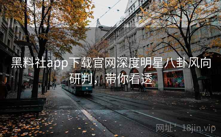 黑料社app下载官网深度明星八卦风向研判，带你看透