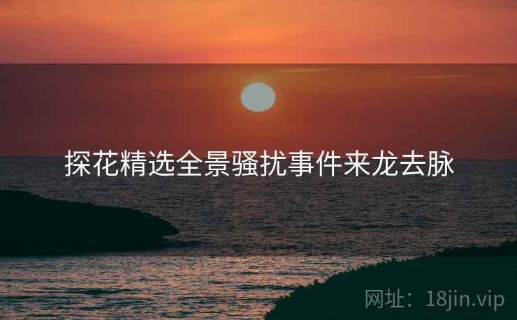 探花精选全景骚扰事件来龙去脉