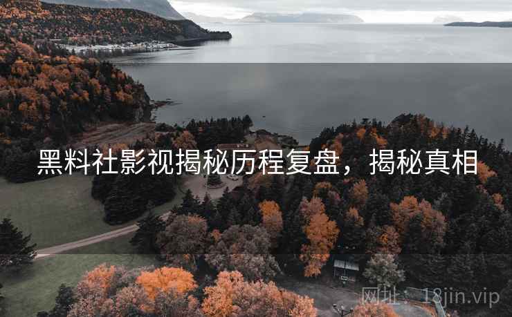 黑料社影视揭秘历程复盘，揭秘真相