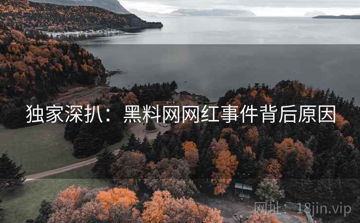 独家深扒：黑料网网红事件背后原因
